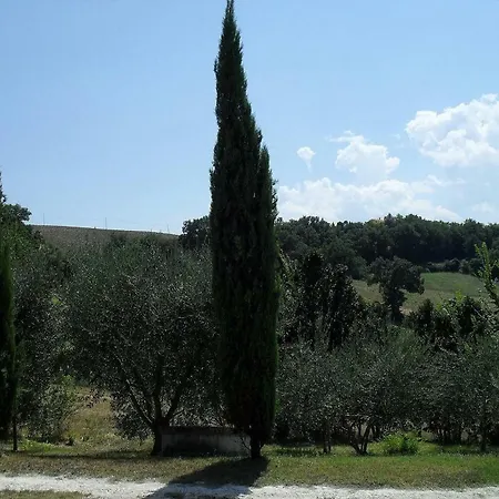 La Mia Piccola Casetta * Arcevia